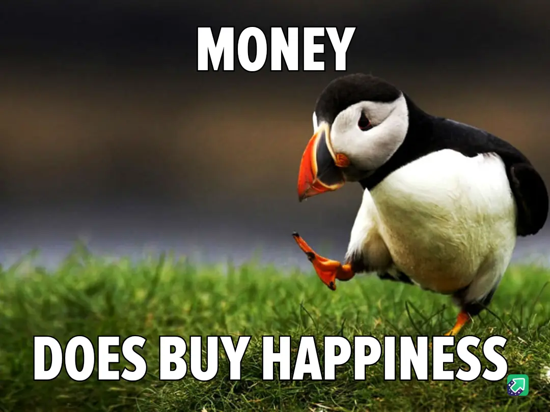 A puffin stands on green grass with one foot lifted, looking down. The text 'MONEY' is at the top and 'DOES BUY HAPPINESS'…