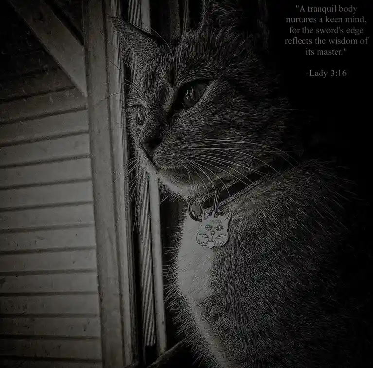 A black-and-white photo of a cat looking out a window, wearing a collar with a cat-shaped tag. Overlaid text reads: "A…