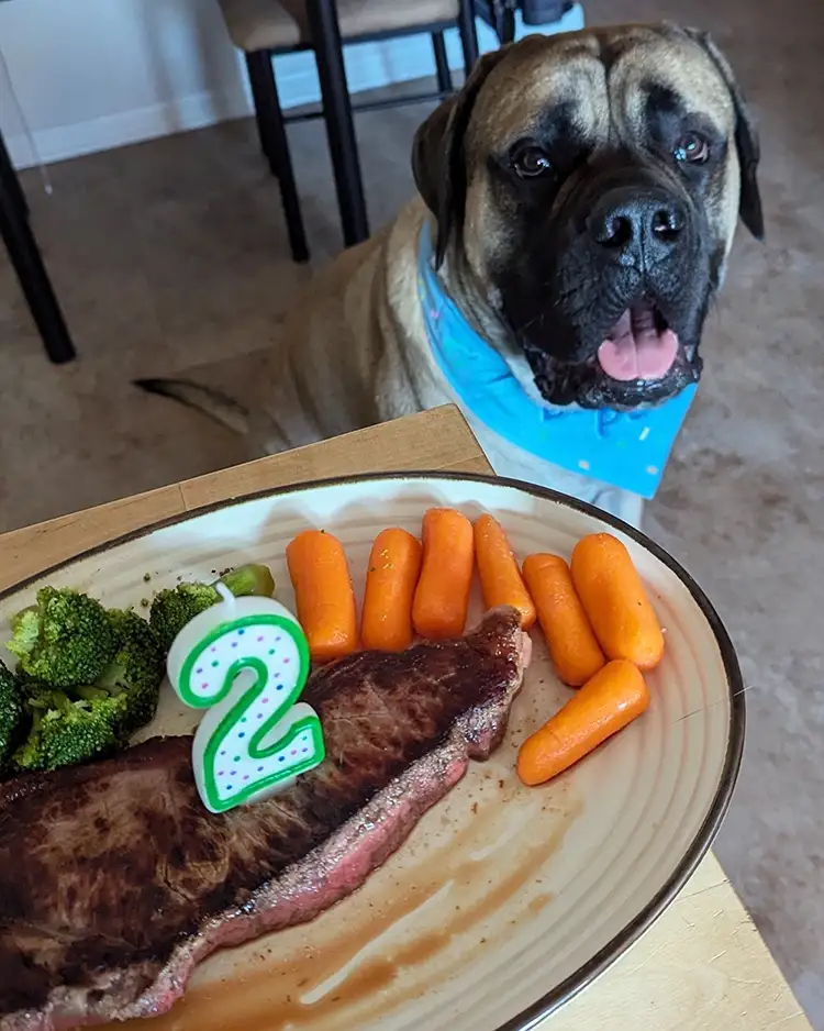 Celebrating Lobster's 2nd Birthday with a Steak Feast!