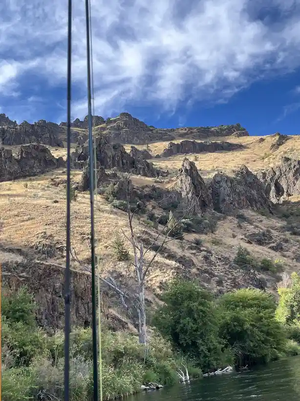 Majestic Eagle Spotted Over the Deschutes River