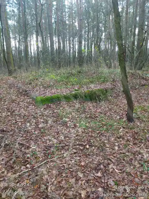 A moss-covered concrete structure, resembling a bunker or trench, is partially buried in a forest floor covered with dry…