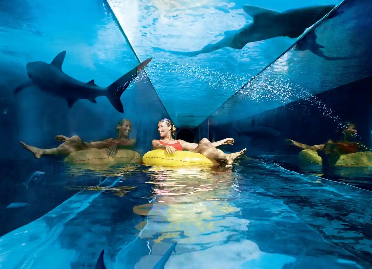 Three women float relaxed in inflatable tubes through an underwater tunnel, smiling as large sharks swim past them overhead…
