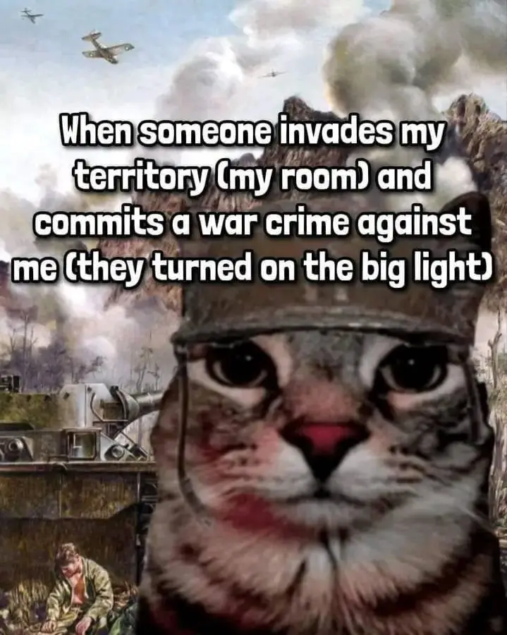 A cat wearing a military helmet is superimposed over a dramatic wartime painting featuring tanks, smoke, and airplanes. The…