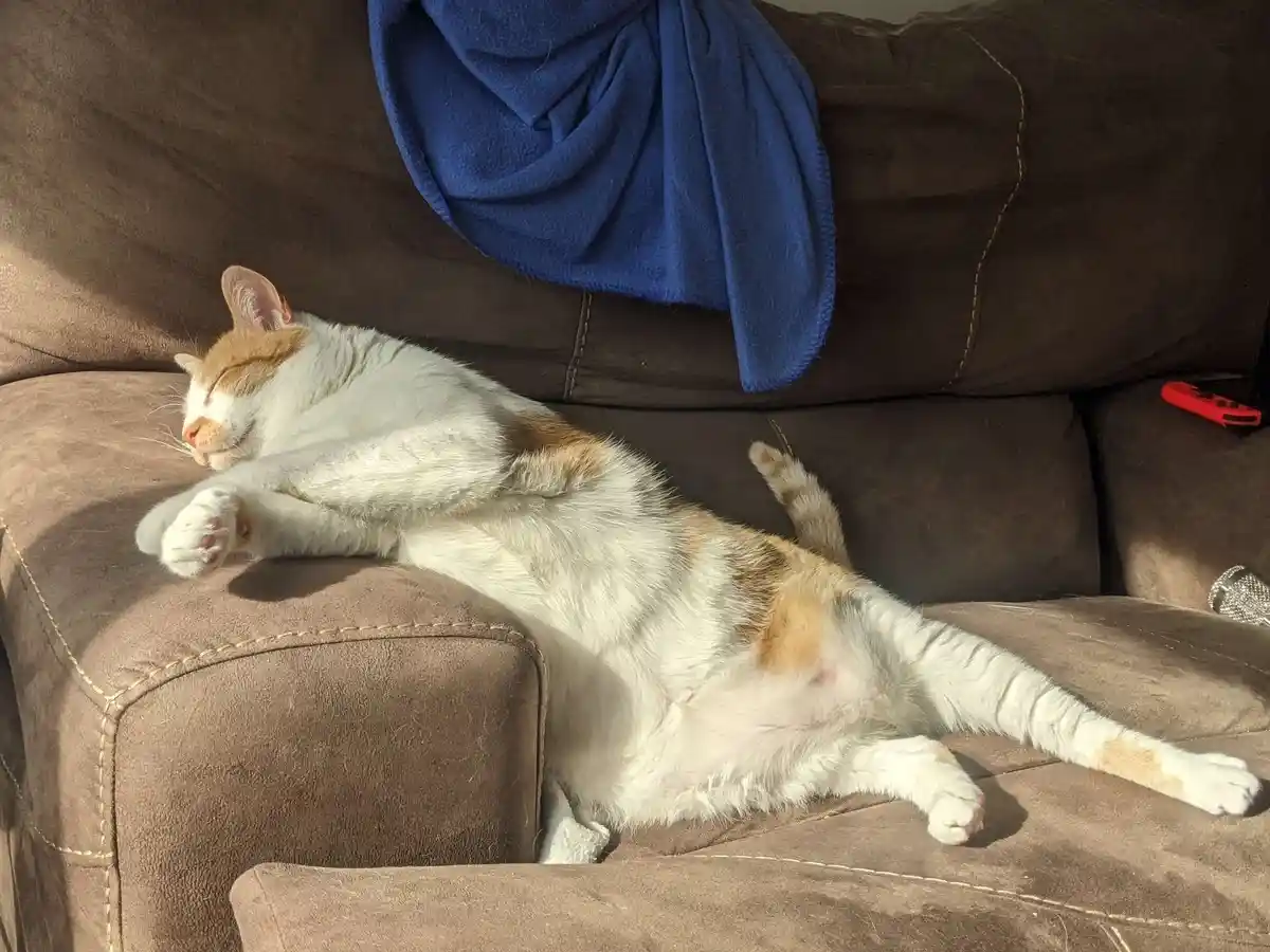 Chillin' in style