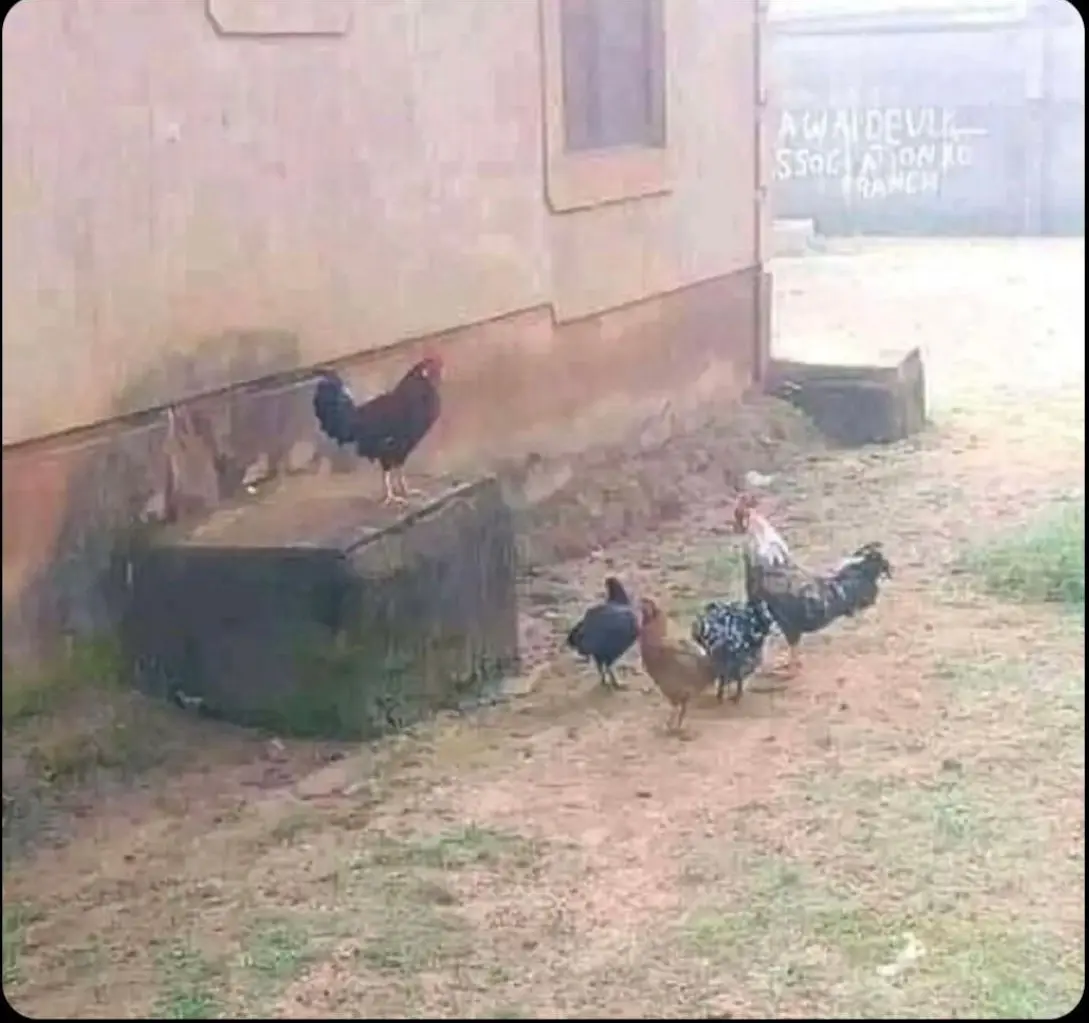This Could Be Our Last Family Gathering Together.