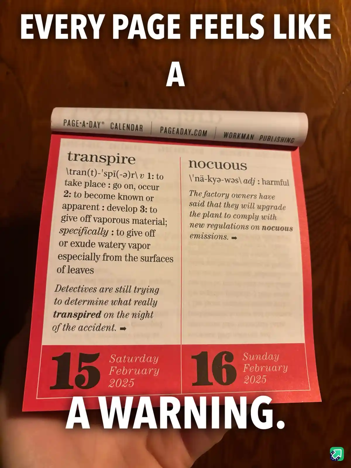 Even My Word of the Day Calendar Can't Escape Politics