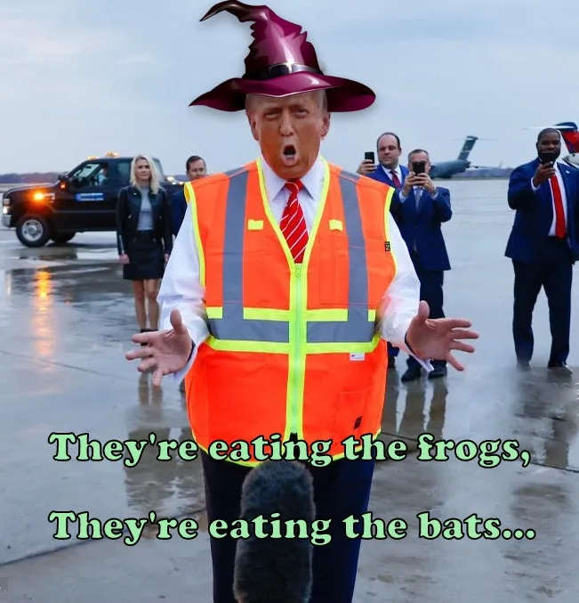 A photo of Donald Trump on an airport tarmac wearing an orange safety vest and a purple witch hat, with his mouth open and…