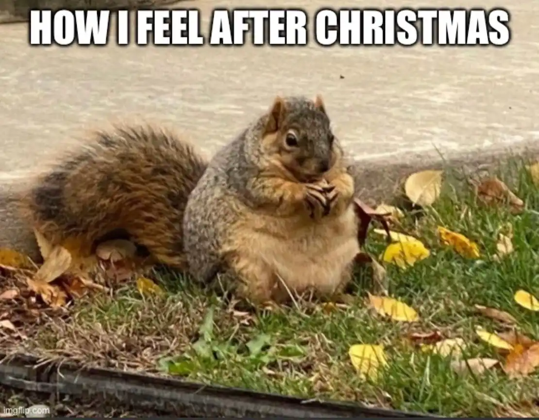 A chubby squirrel sits on grass with fallen leaves, eating a nut while looking directly at the camera. The text overlay…