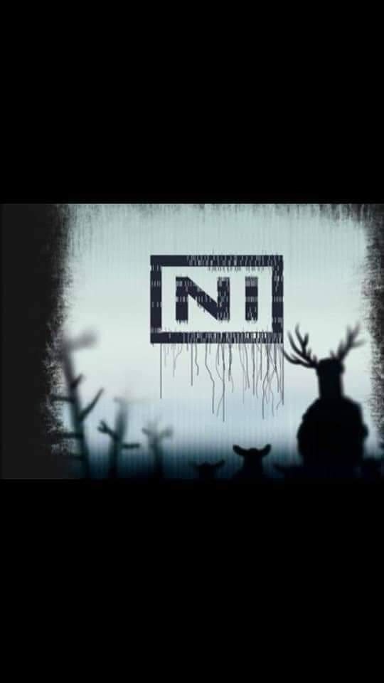 A dark, grainy image shows silhouettes of deer and other animals looking up at a large, glitchy 'NI' logo that appears to be…