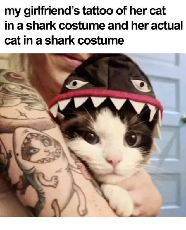 A person holds a black-and-white cat wearing a shark costume with white teeth and red trim. On the person's arm is a tattoo…