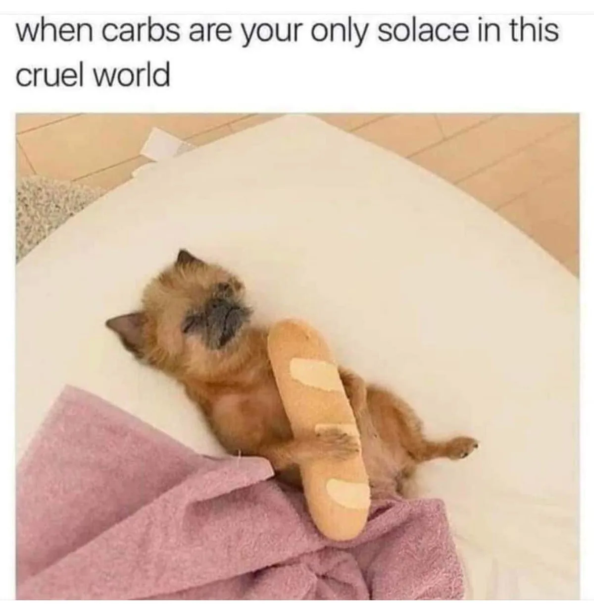 A small, fluffy brown puppy is lying on its back on a white surface, holding a plush toy shaped like a baguette bread. The…