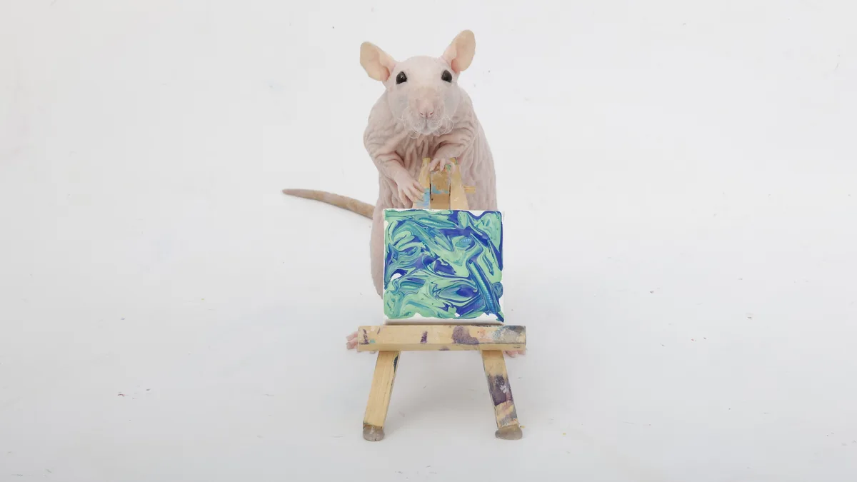 Meet My Artistic Pet Rats and Their Adorable Tiny Paw Paintings from This Week!
