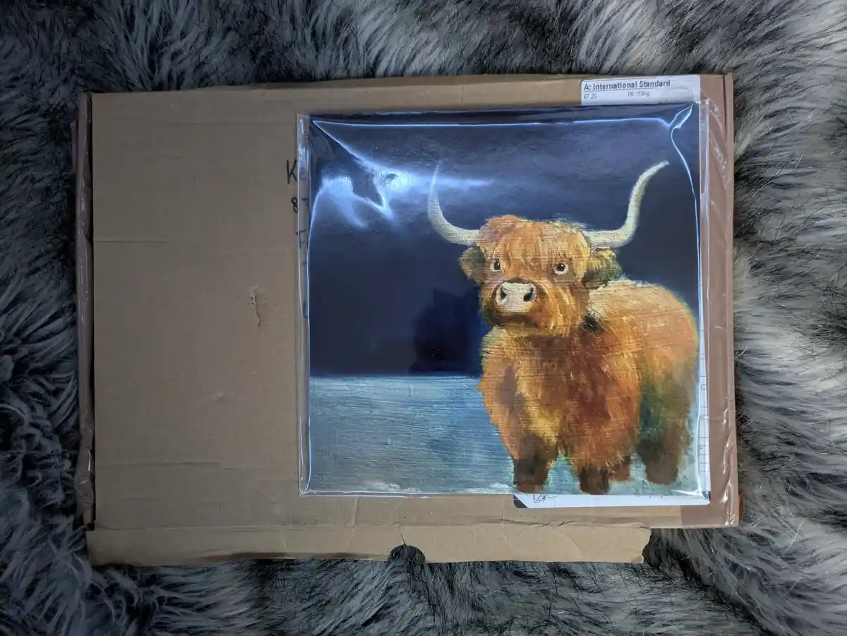 A brown cardboard box, open and resting on a fluffy grey rug, contains a painting of a Highland cow with long horns and…