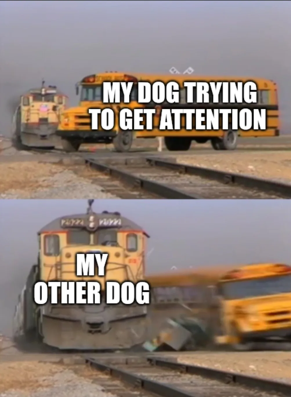 The top panel shows a yellow school bus and a train on parallel tracks with text 'MY DOG TRYING TO GET ATTENTION'. The…