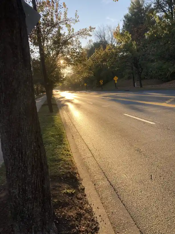 A Radiant Road That Shines Brightly Ahead