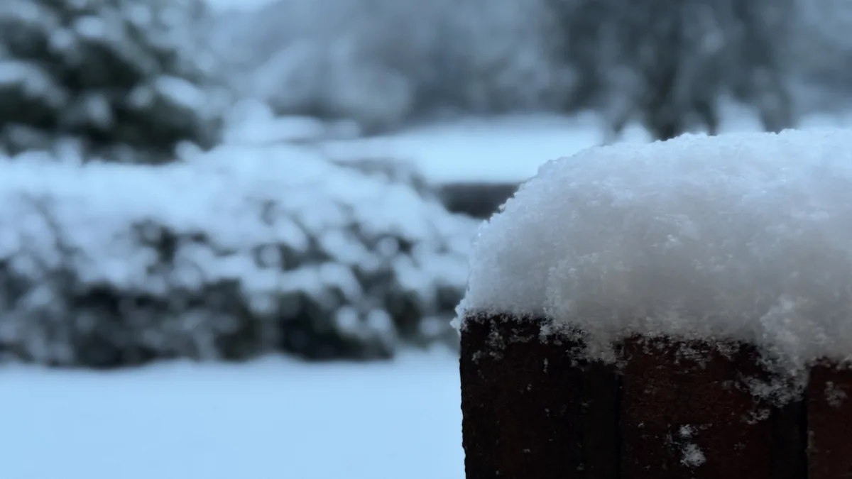 Winter Wonderland: A Snowy Scene