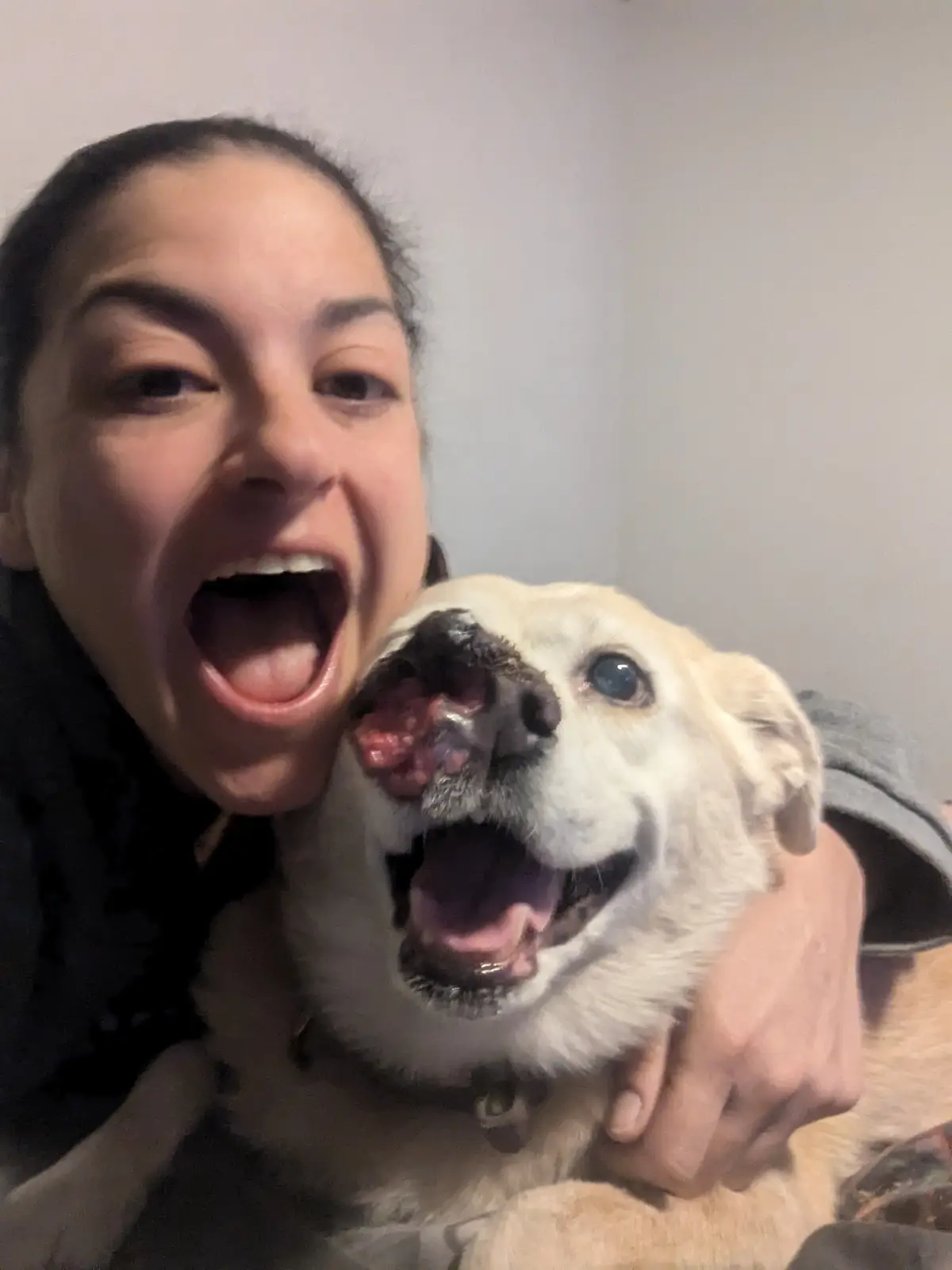 A person and a light-colored dog are both making exaggeratedly wide-mouthed, joyful expressions in a selfie. The dog has a…