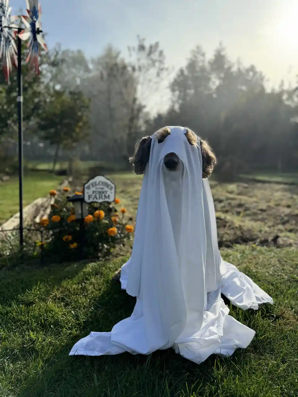Wishing You a Spooky and Happy Halloween!