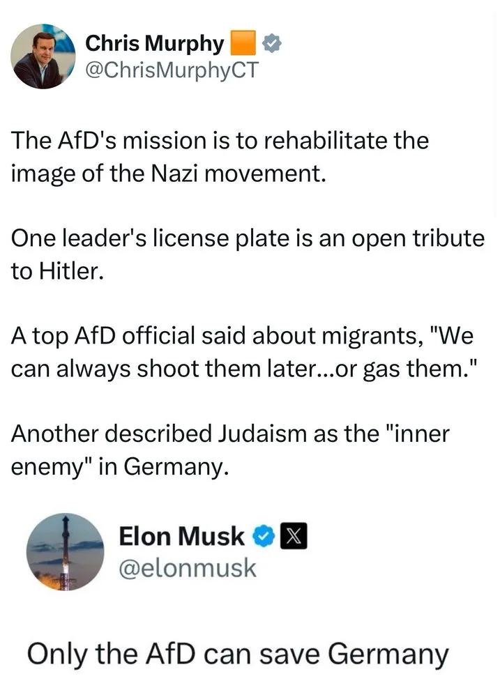 A screenshot of a Twitter thread by Chris Murphy listing accusations against the AfD party, followed by a tweet from Elon…
