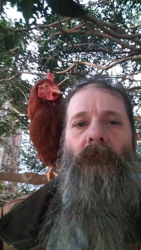 A man with a long gray beard takes a selfie outdoors under a leafy tree, with a brown chicken perched on his shoulder. The…