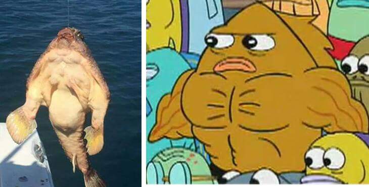 The image is a side-by-side comparison: on the left, a real fish hanging from a fishing line, displaying an unusually…