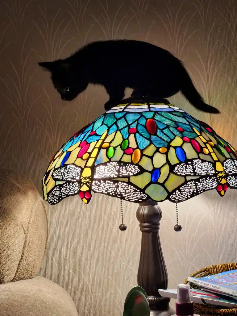 A small black cat is perched atop a colorful, stained-glass lampshade featuring dragonfly designs, looking down. The lamp…