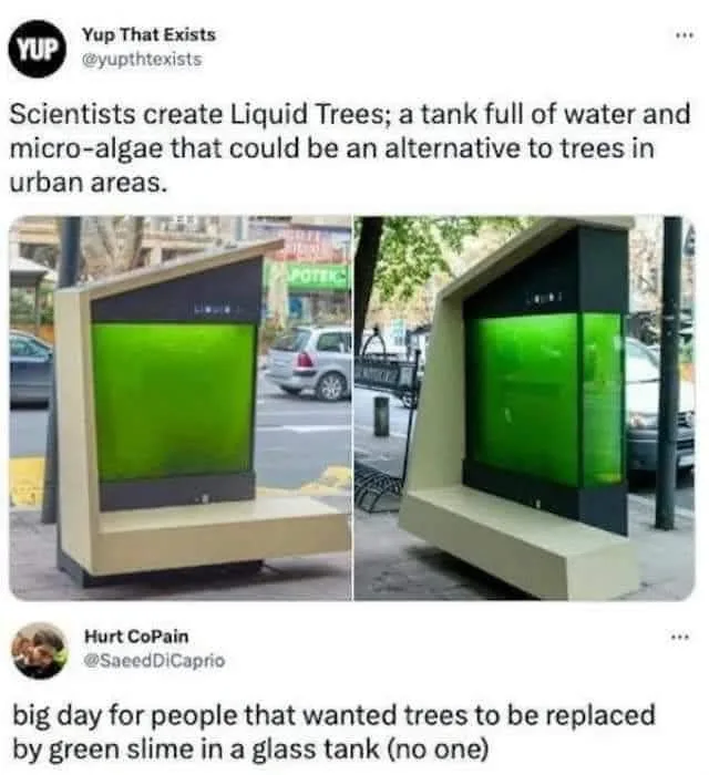A tribute to the beauty of trees.