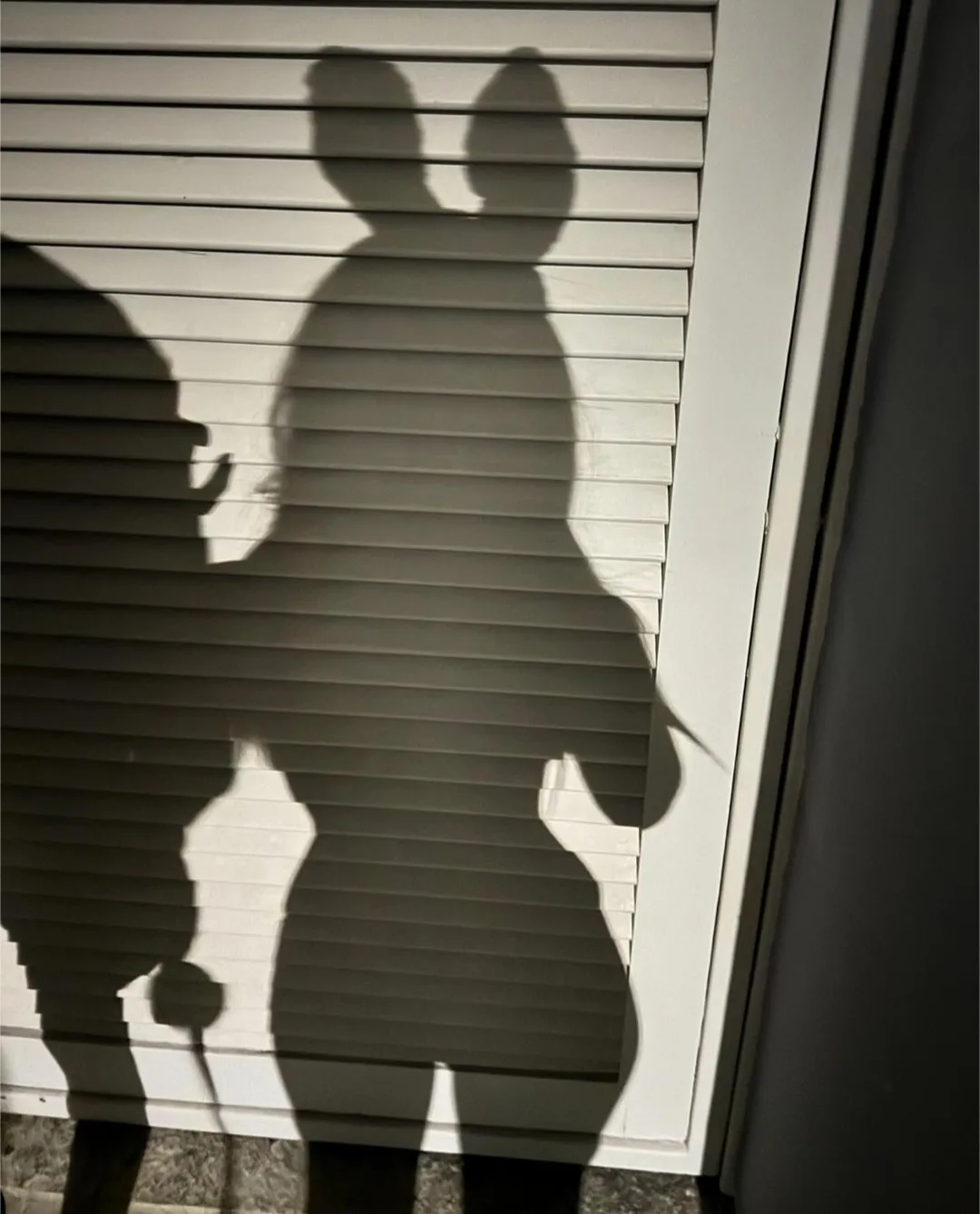 The image shows the shadows of two people standing in front of horizontal blinds, with one person's shadow holding a phone…