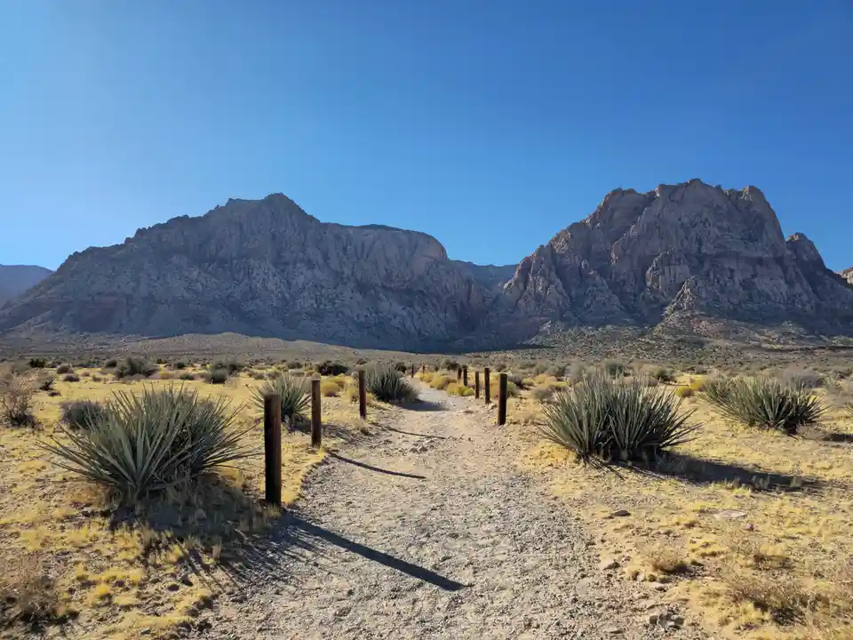 A wide desert landscape with a gravel path flanked by wooden posts and spiky succulents, leading toward large, rugged…