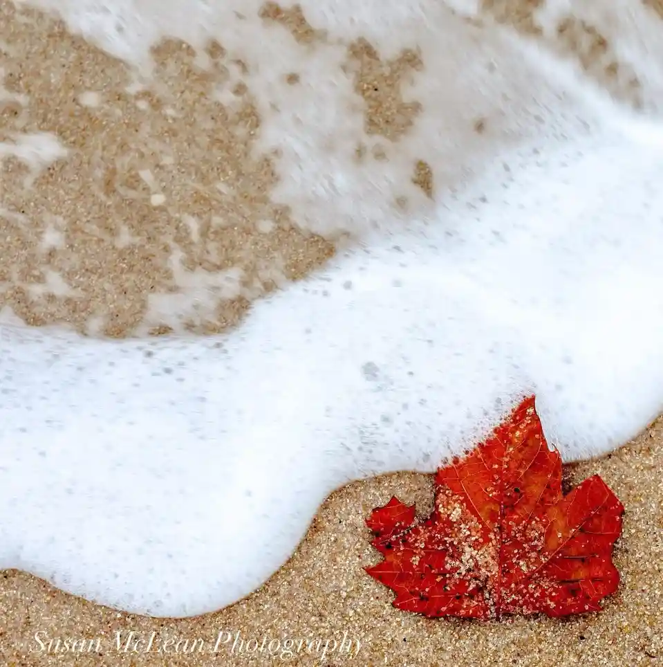Embracing the Beauty of Autumn