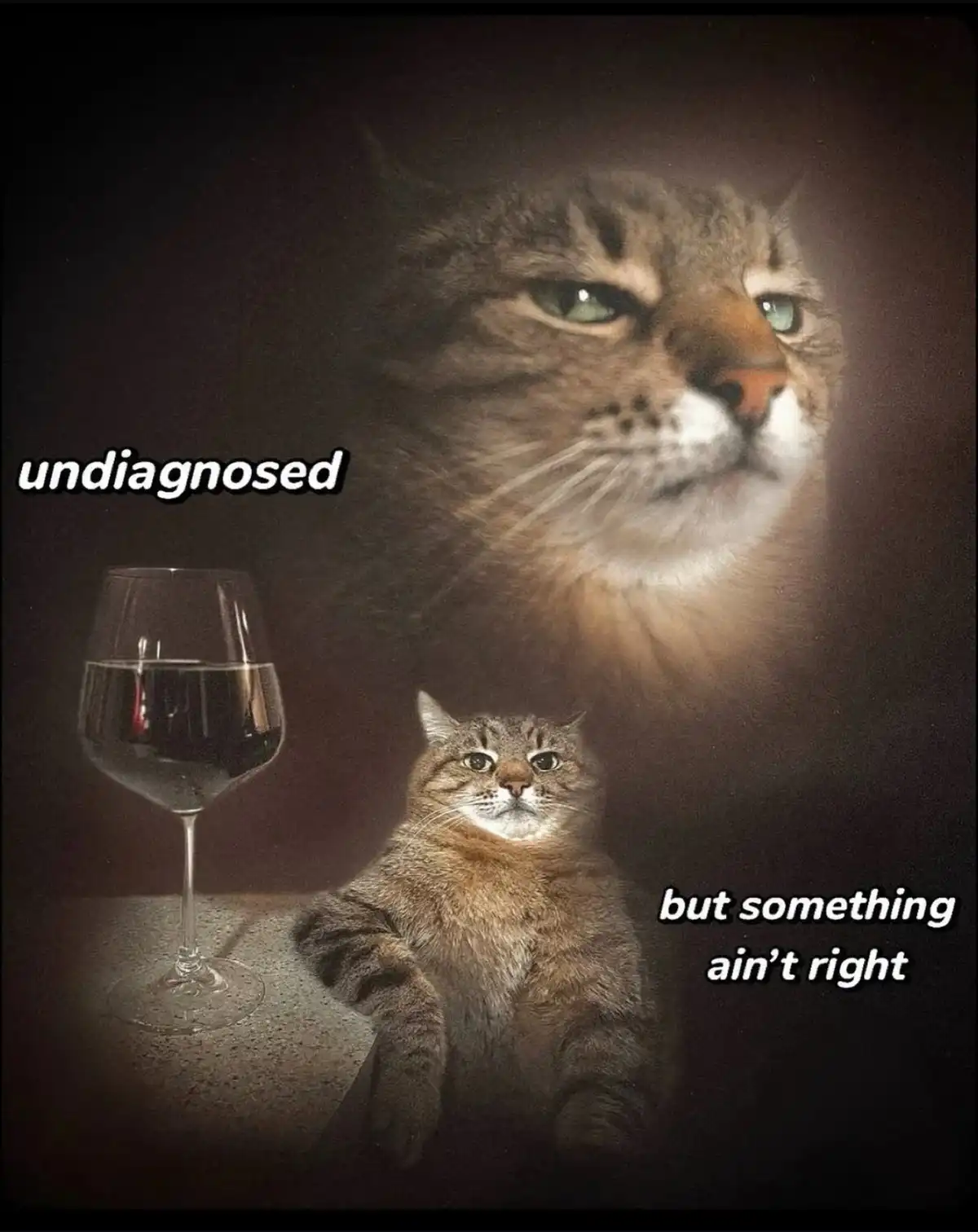 A tabby cat sits at a table next to a glass of red wine, looking concerned. A larger, ghostly version of the same cat looms…