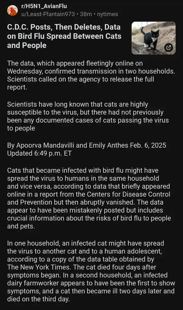 A screenshot of a New York Times article about bird flu transmission between cats and people, featuring a small photo of a…