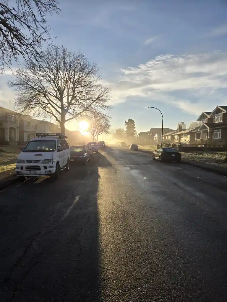 A serene suburban street at sunrise with cars parked along both sides, bare trees silhouetted against the bright sun, and…