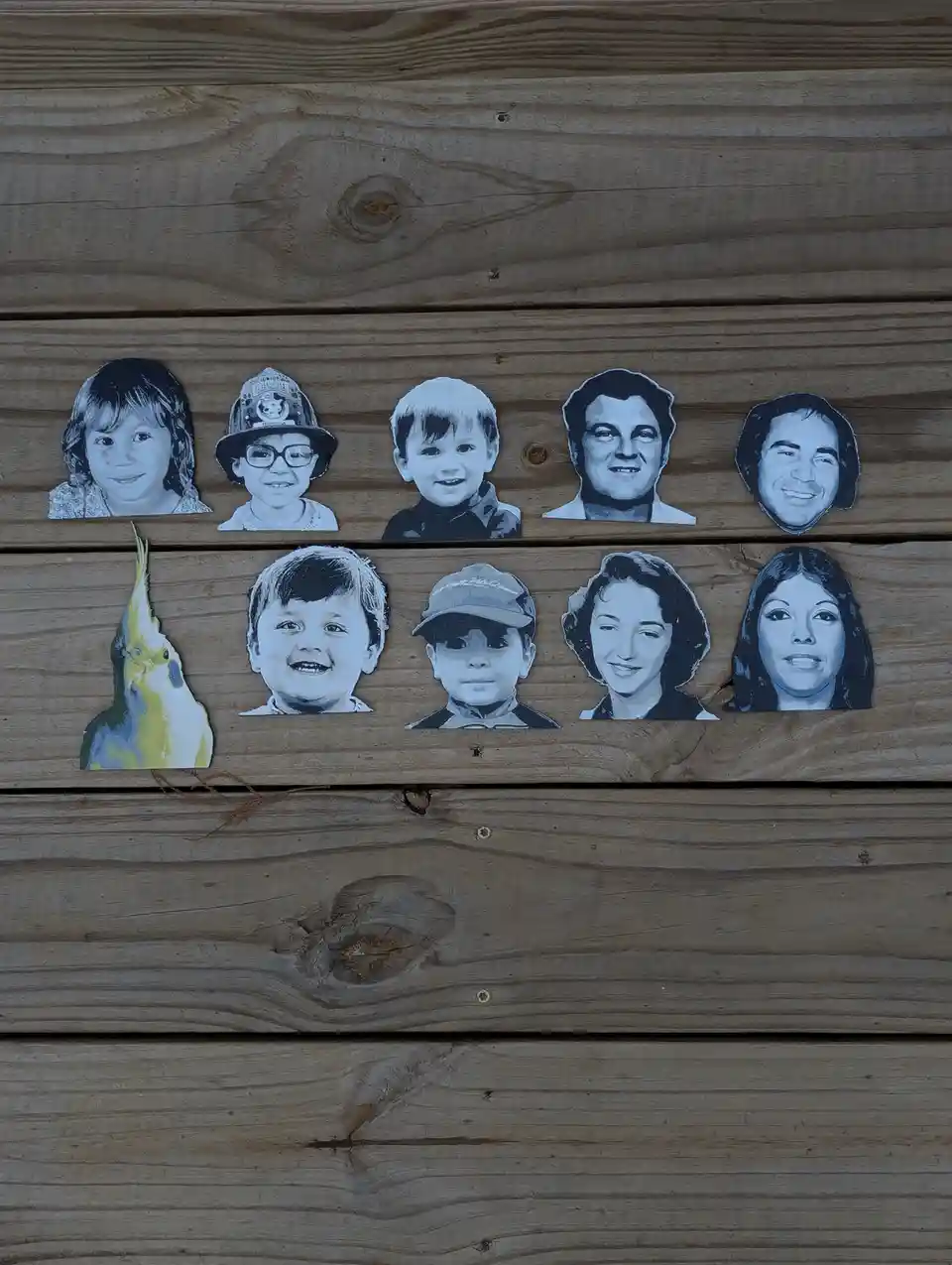 Nine cutout portraits of people, mostly children and adults, are arranged on wooden planks. One cutout, a colorful cockatiel…