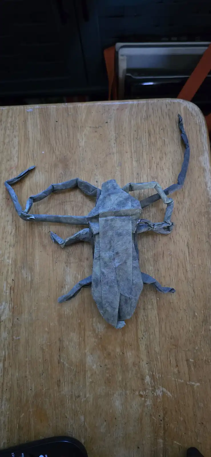 Meet the Acrocinus Longimanus, also known as the Harlequin Beetle.
