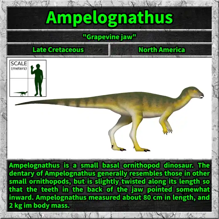 The image displays a digital illustration of the dinosaur Ampelognathus, labeled with its common name 'Grapevine jaw'…