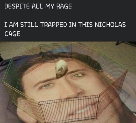 A photo of actor Nicholas Cage's face is overlaid with a wire cage, inside which a small white rodent sits on his forehead…
