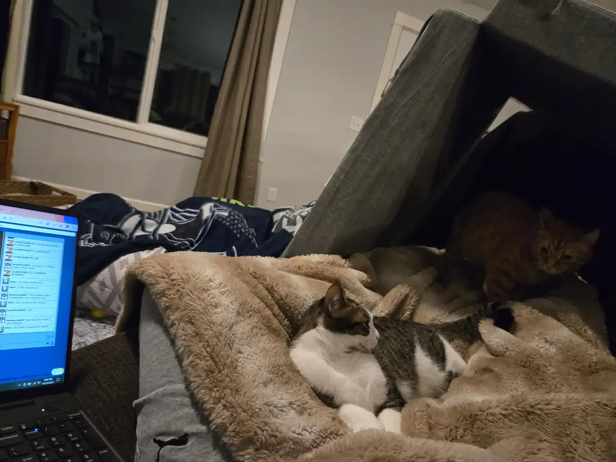 A cat lounges comfortably on a fluffy blanket on a couch, while another cat peeks out from behind the couch cushions. A…