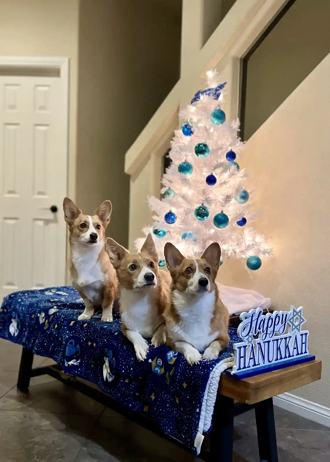 Happy Hanukkah to Everyone Celebrating!