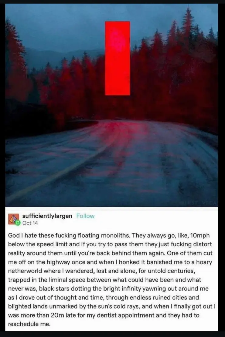 When You Forget to Use Your Turn Signal and Chaos Ensues