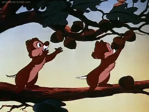 This image is a six-panel sequence from a Disney cartoon showing two chipmunks, Chip and Dale, on a tree branch. In the…