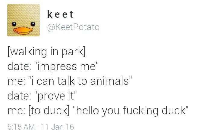 That Sassy Duck Strikes Again!