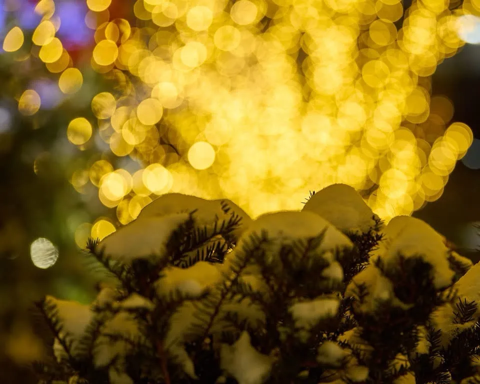 A Winter Wonderland of Snow and Lights