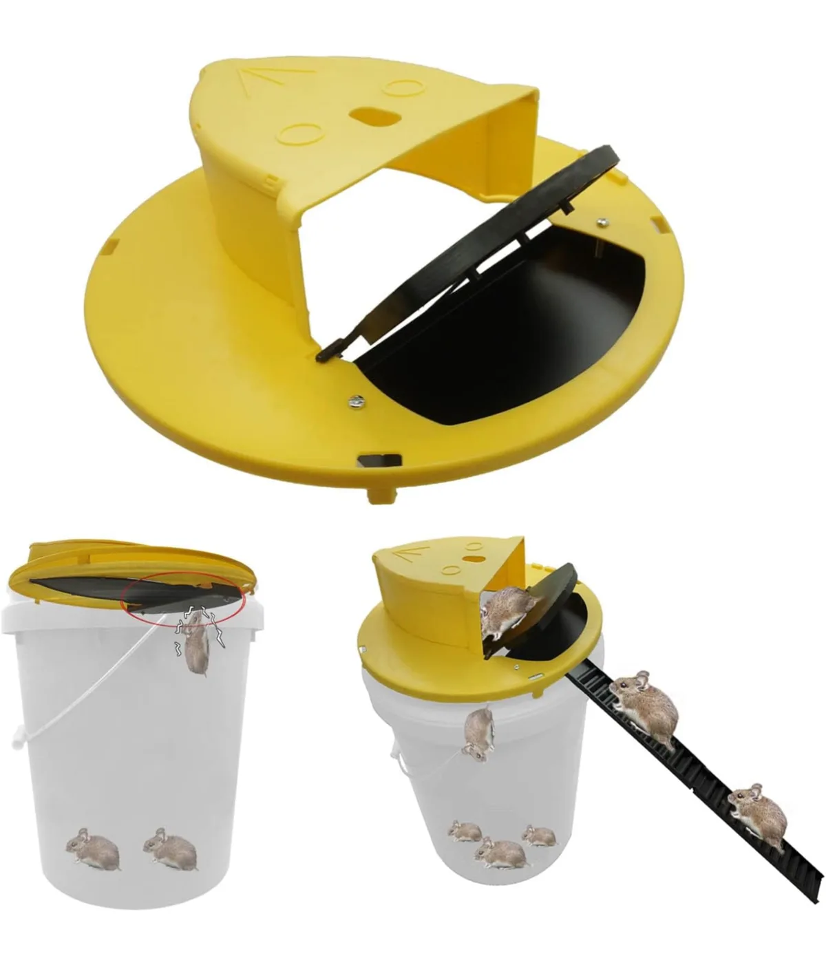 An image shows a yellow plastic rat trap bucket with a lid that opens to reveal a black ramp. The top panel shows the trap…
