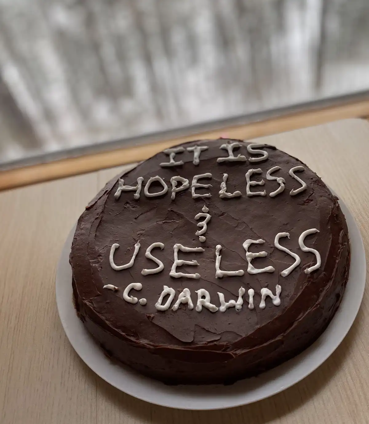 A round chocolate cake with white icing text that reads 'IT IS HOPELESS? USELESS - C. DARWIN', sitting on a white plate on a…