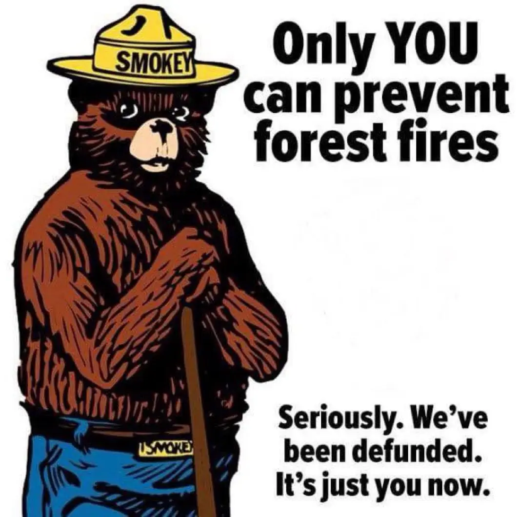 A cartoon illustration of Smokey the Bear, wearing his iconic yellow hat with 'SMOKEY' written on it and blue pants with a…