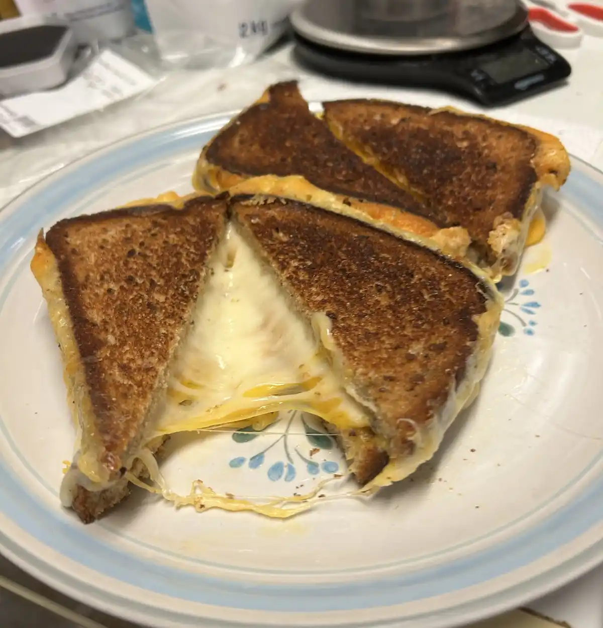 A close-up photo shows a perfectly grilled cheese sandwich, cut diagonally into four triangular pieces, resting on a white…