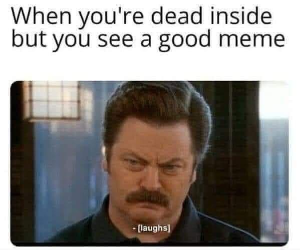 A close-up of Ron Swanson from 'Parks and Recreation' with a deadpan, slightly amused expression. The text above reads 'When…