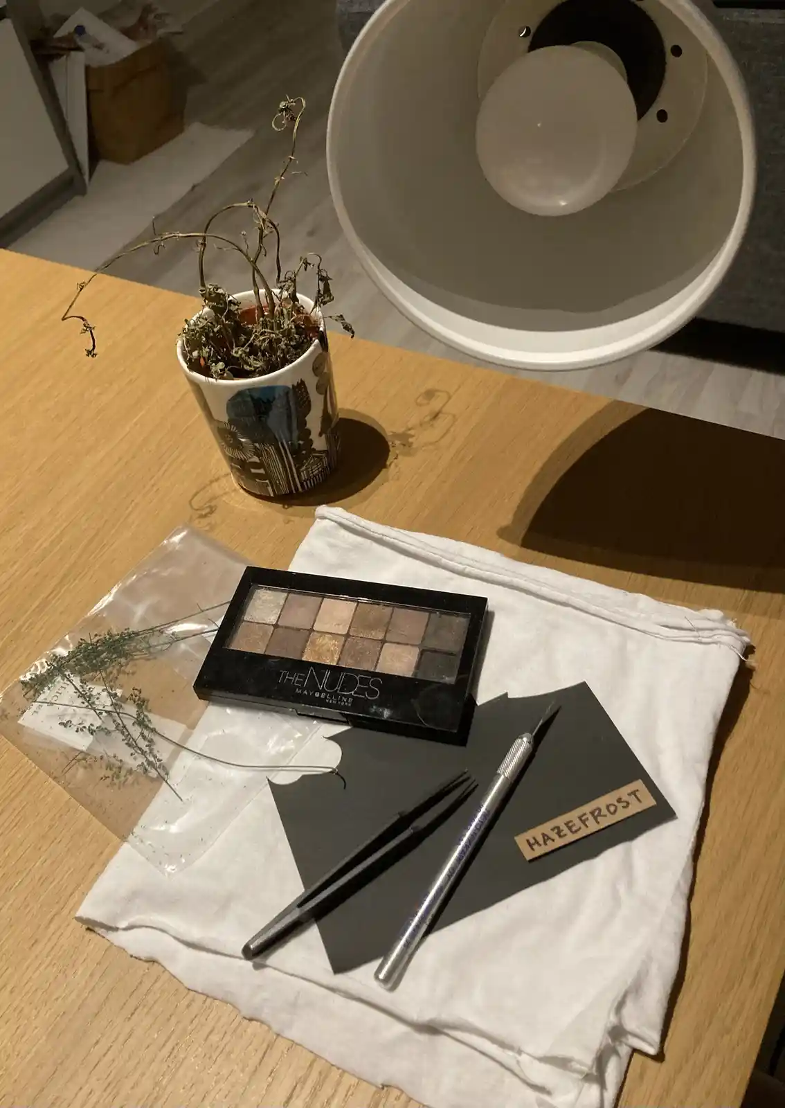 Behind the Scenes of the Moon Comp