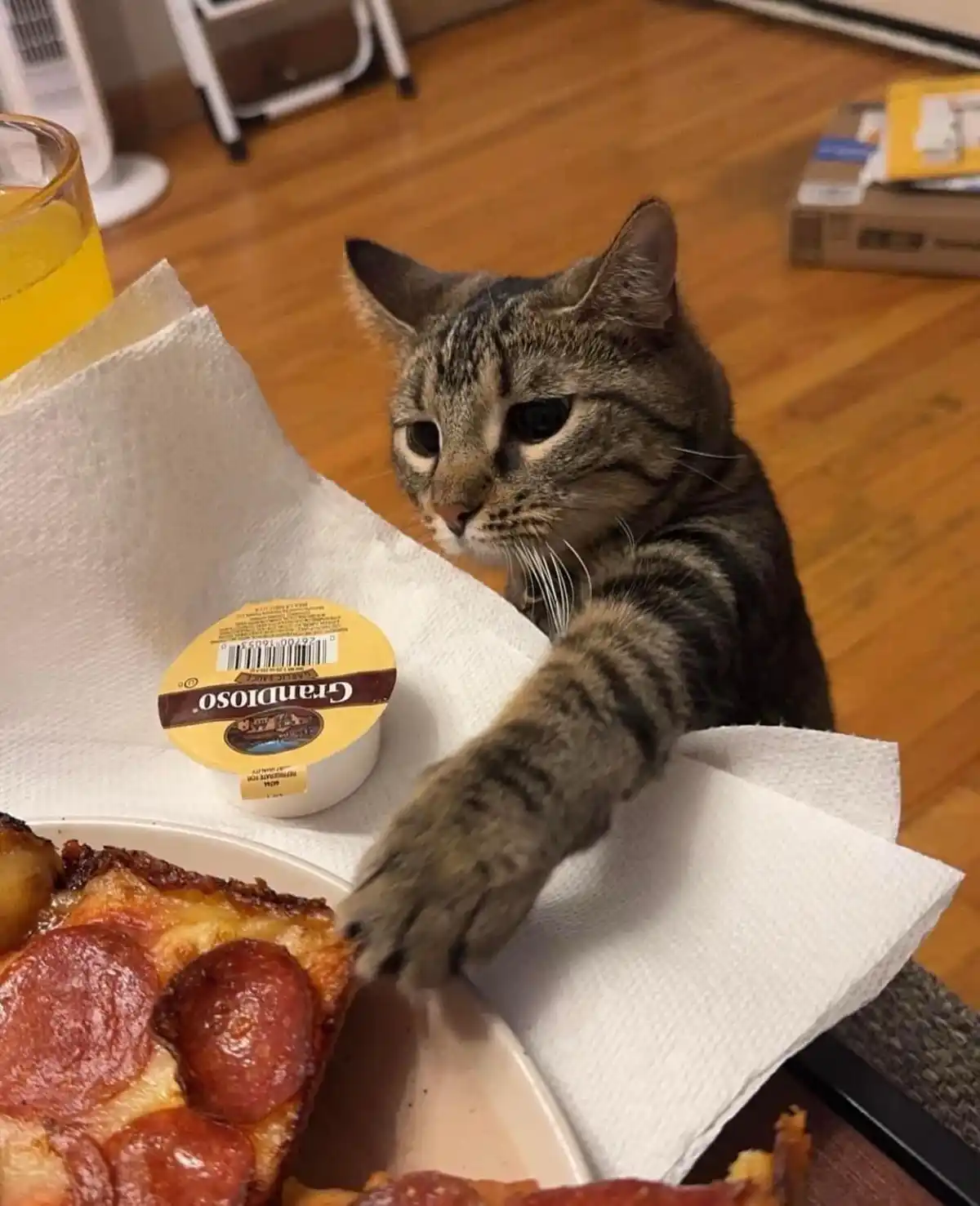 A tabby cat with a paw extended toward a plate of pepperoni pizza, looking directly at the camera with a serious expression…